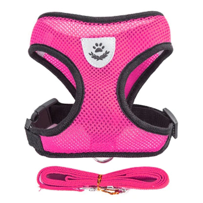 Adjustable Cat and Dog Harness Vest with Leash - Comfortable Mesh Walking Gear for Small to Medium Pets