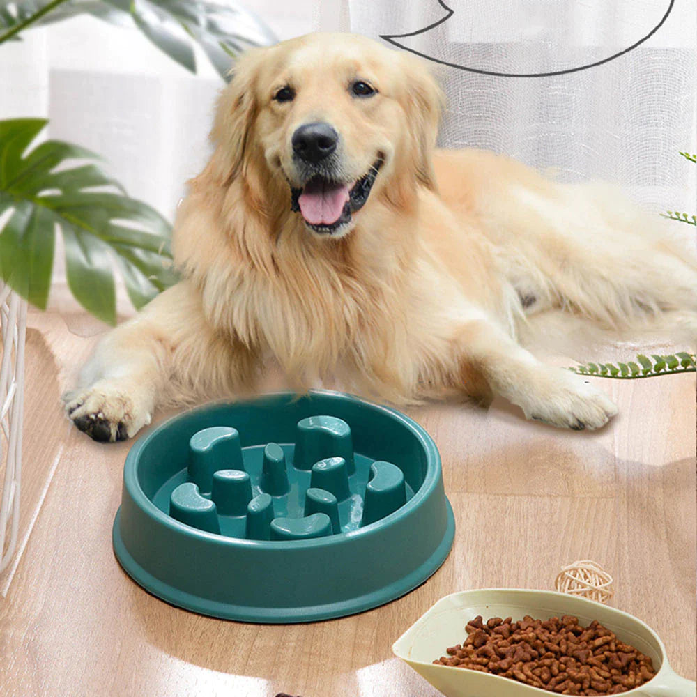 Non-Slip Slow Feeder Bowl for Small Dogs and Cats - Choke-Proof Pet Food Dish