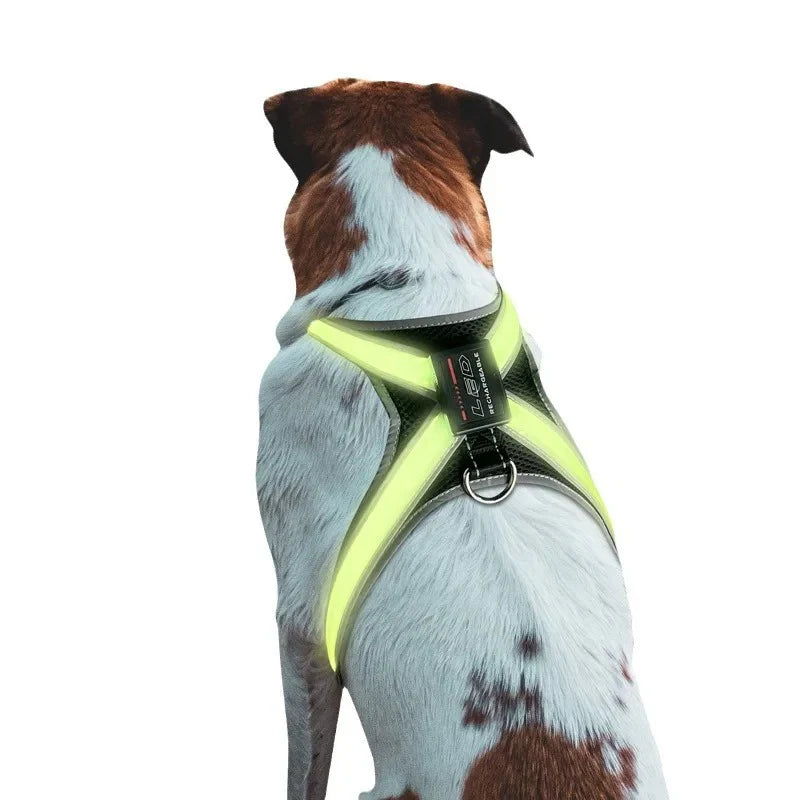 LED Light-Up Color Changing Dog Collar & Reflective Vest with Adjustable Harness and Leash - Explosion Resistant Pet Gear