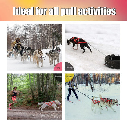 Ultimate Waterproof Reflective Dog Sledding Harness for Large Breeds - Perfect for Skijoring and Weight Pulling (65cm - 85cm)