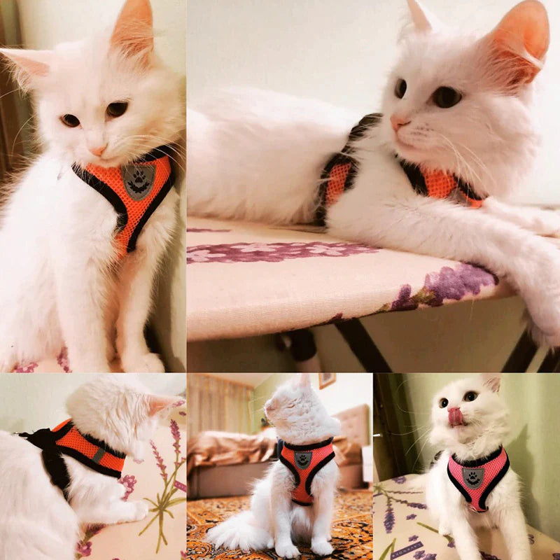Adjustable Cat and Dog Harness Vest with Leash - Comfortable Mesh Walking Gear for Small to Medium Pets