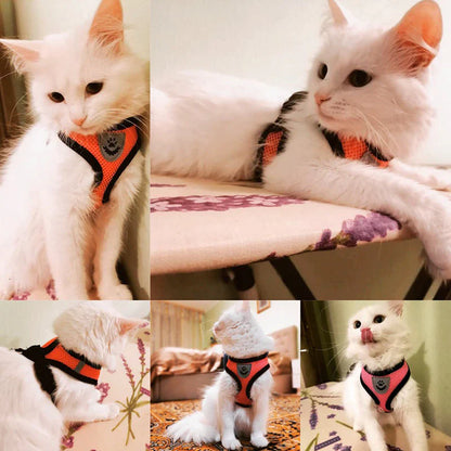 Adjustable Cat and Dog Harness Vest with Leash - Comfortable Mesh Walking Gear for Small to Medium Pets