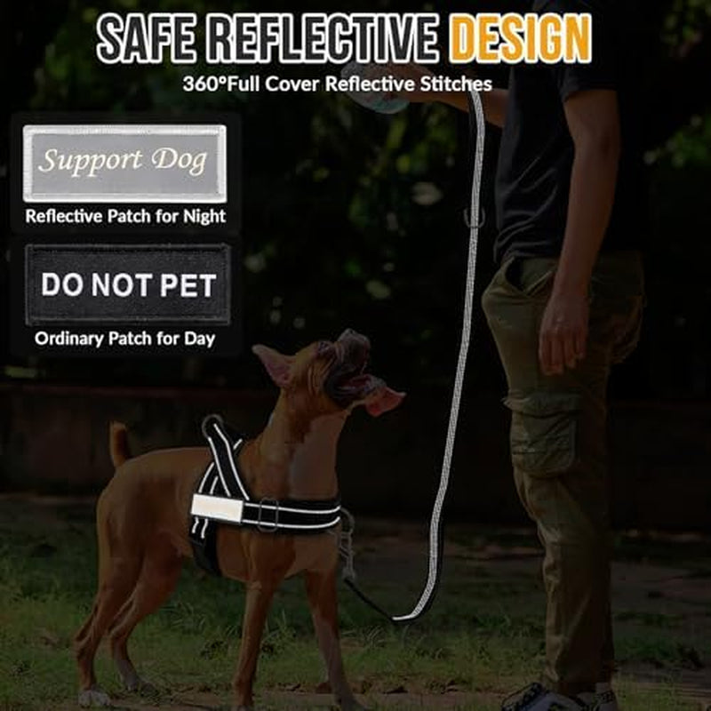 Heavy Duty No Pull Dog Harness & Leash Set - Reflective Tactical Design with Soft Padding & Front Clip for Easy Walking & Training - Perfect for Medium to Large Dogs (Black, Size L)