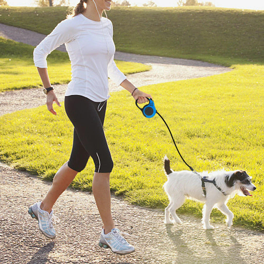16.5FT Automatic Retractable Dog Leash with Collar for Effortless Walking - Free Shipping in the US