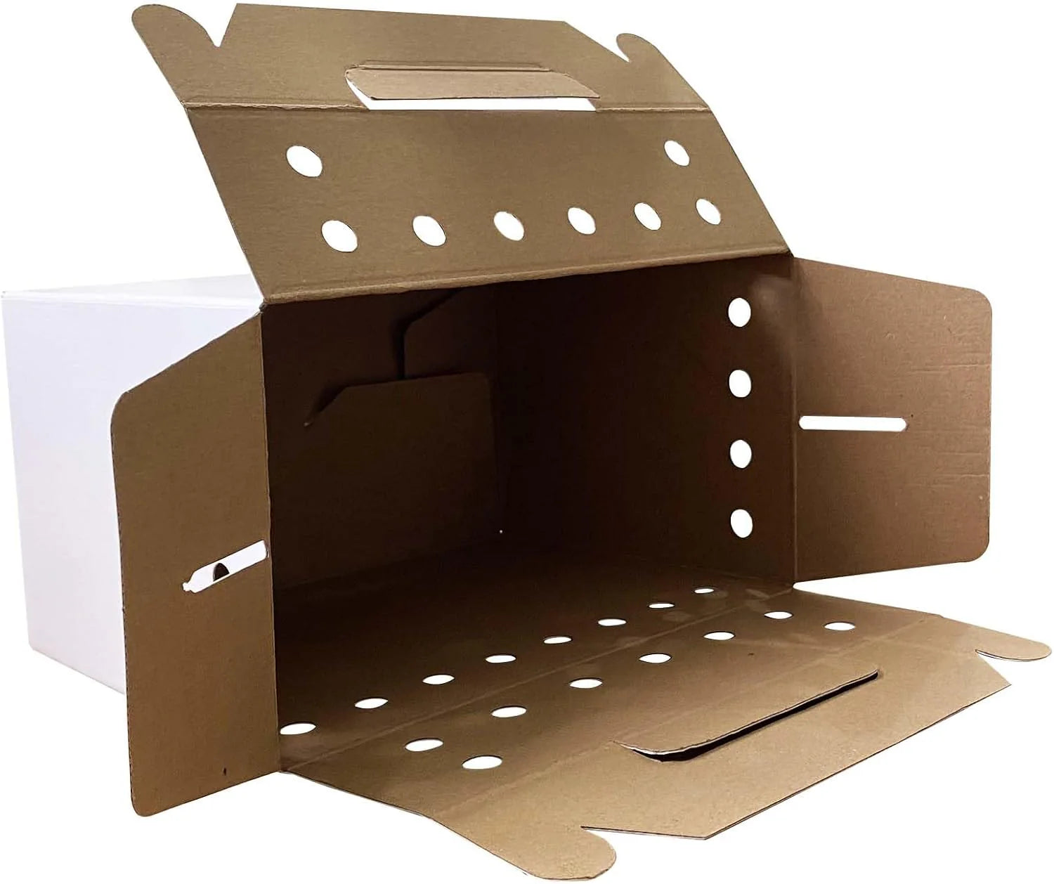 Eco-Friendly Disposable Cardboard Pet Carriers - 12 Pack for Small Animals, Hamsters, Gerbils, Birds, and Reptiles