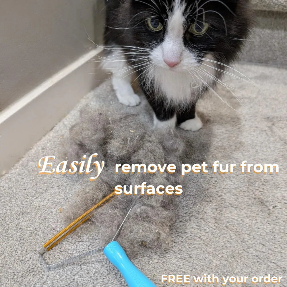 Whisper-Quiet Cordless Cat Grooming Trimmer Kit - Perfect for Stress-Free Grooming