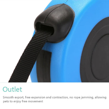 16.5FT Automatic Retractable Dog Leash with Collar for Effortless Walking - Free Shipping in the US