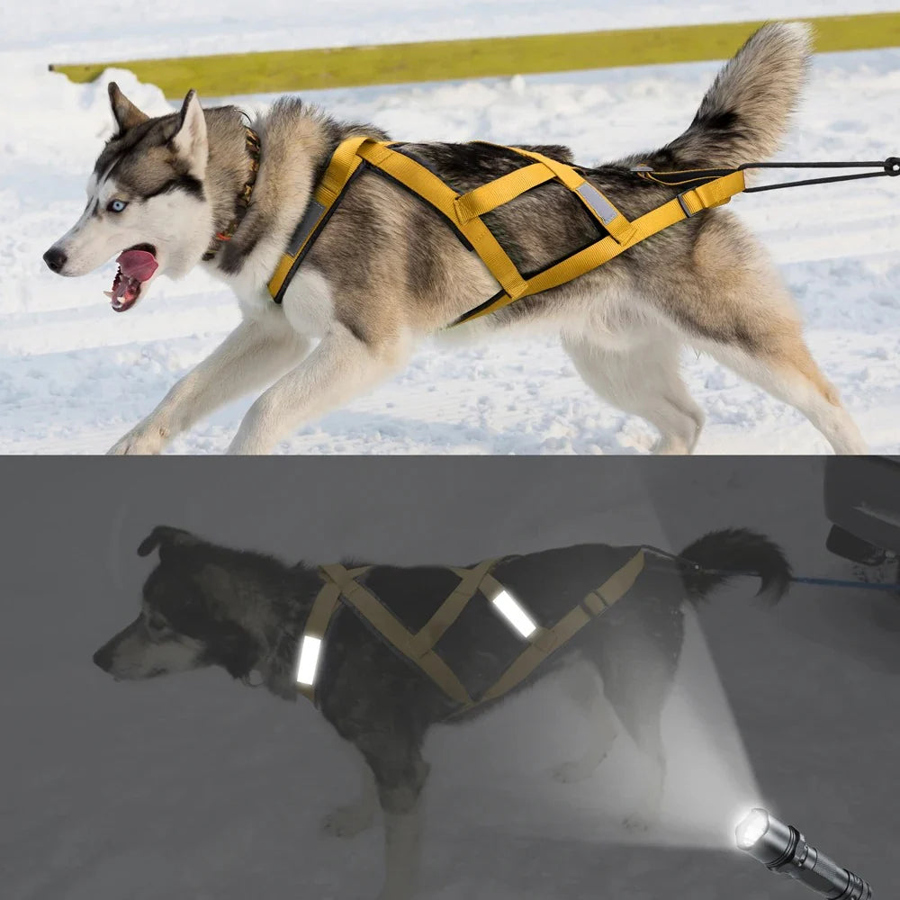 Ultimate Waterproof Reflective Dog Sledding Harness for Large Breeds - Perfect for Skijoring and Weight Pulling (65cm - 85cm)
