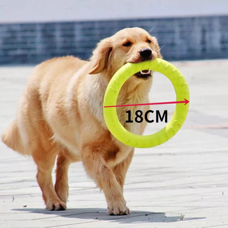 Durable 18CM EVA Dog Flying Disc - Interactive Outdoor Toy for Training and Play