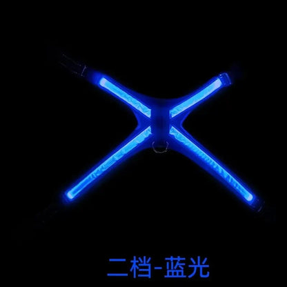 LED Light-Up Color Changing Dog Collar & Reflective Vest with Adjustable Harness and Leash - Explosion Resistant Pet Gear