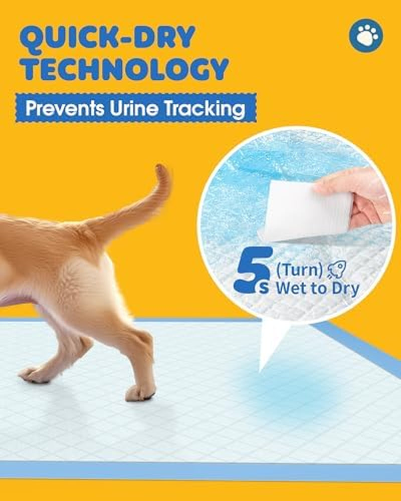 50-Pack Extra Large Puppy Pads - 34" X 28" Leakproof, Quick-Dry & Highly Absorbent Dog Pads for Effortless Potty Training