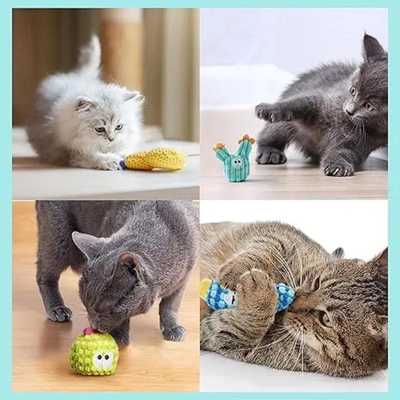 Pawsible Premium 5-Pack Colorful Cactus Cat Toy Set with 100% Natural Herb Filling for Enhanced Stimulation and Soft Teething, Ideal for Kittens