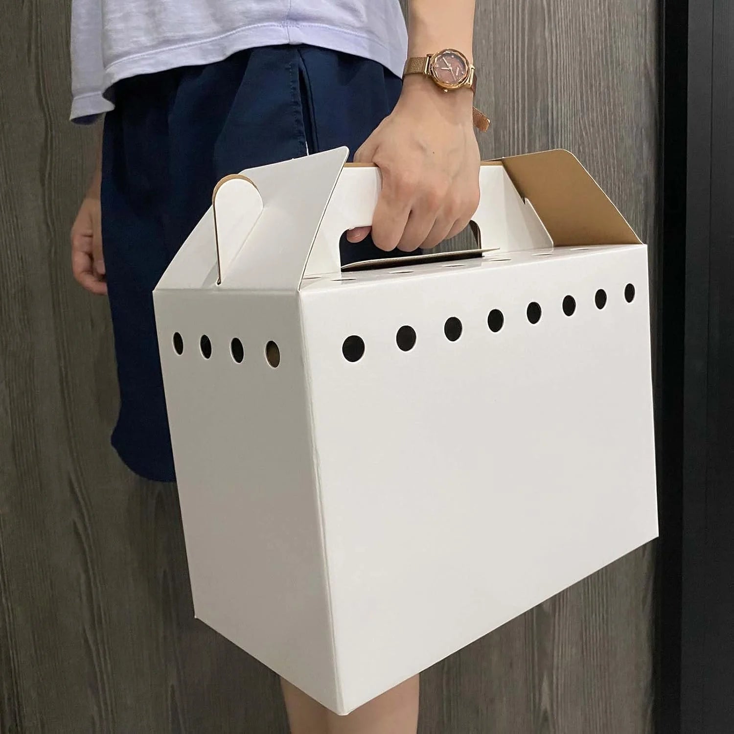 Eco-Friendly Disposable Cardboard Pet Carriers - 12 Pack for Small Animals, Hamsters, Gerbils, Birds, and Reptiles
