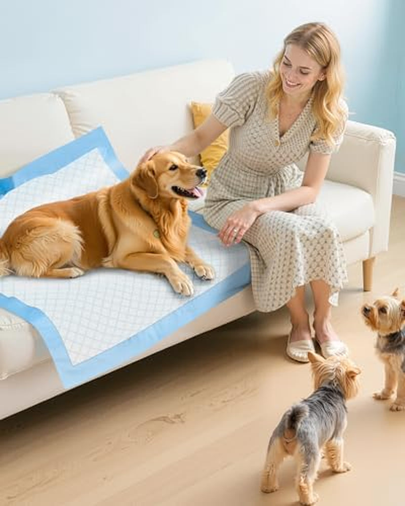 50-Pack Extra Large Puppy Pads - 34" X 28" Leakproof, Quick-Dry & Highly Absorbent Dog Pads for Effortless Potty Training
