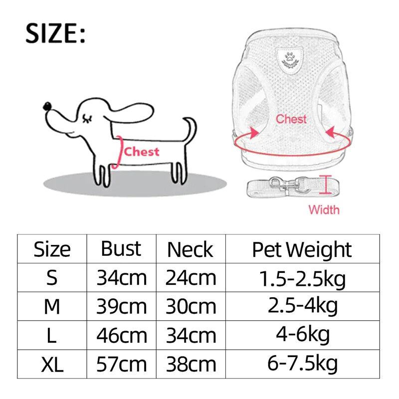 Adjustable Cat and Dog Harness Vest with Leash - Comfortable Mesh Walking Gear for Small to Medium Pets