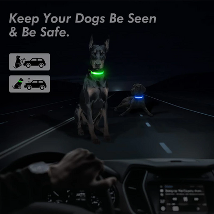 Illuminate Your Pet's Safety with the LED Adjustable Dog Collar - Blinking, Flashing, Waterproof, and Stylish!