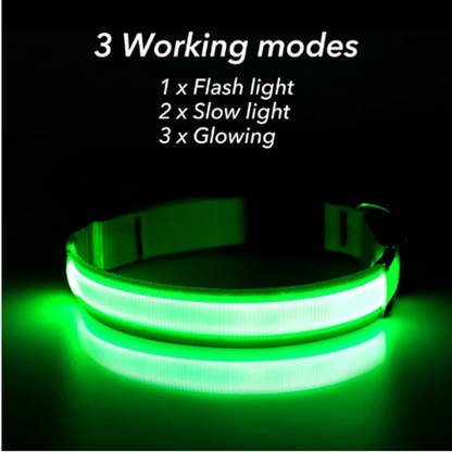 Illuminate Your Pet's Safety with the LED Adjustable Dog Collar - Blinking, Flashing, Waterproof, and Stylish!