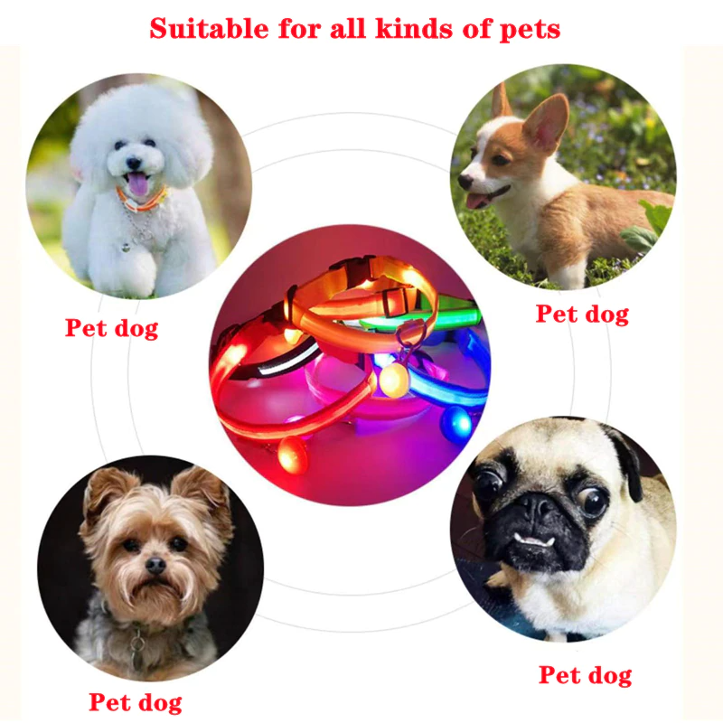 Illuminate Your Pet's Safety with the LED Adjustable Dog Collar - Blinking, Flashing, Waterproof, and Stylish!