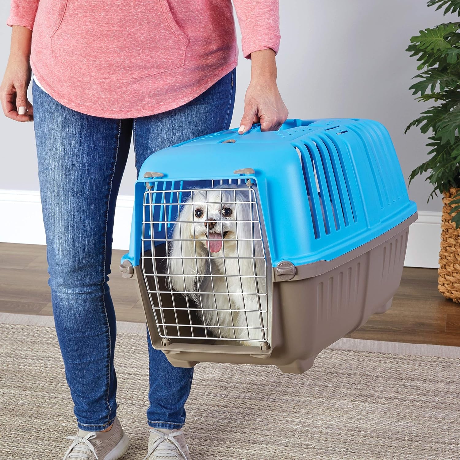 Homes for Pets Spree Travel Carrier - Durable Hard-Sided Dog & Cat Crate, 24-Inch, Easy Assembly, Ventilated Design, Perfect for Travel, Blue
