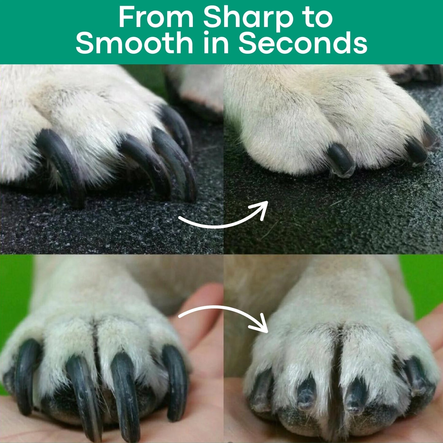 Safetrim LED Pet Nail Clipper - The Ultimate Safe Grooming Tool for Dogs & Cats