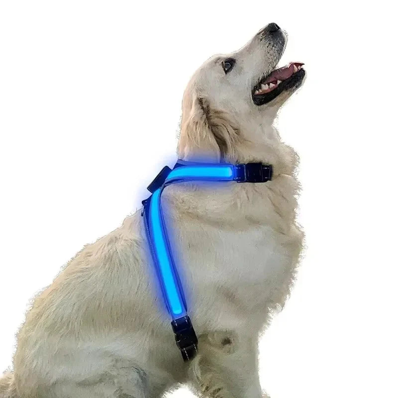 LED Light-Up Color Changing Dog Collar & Reflective Vest with Adjustable Harness and Leash - Explosion Resistant Pet Gear