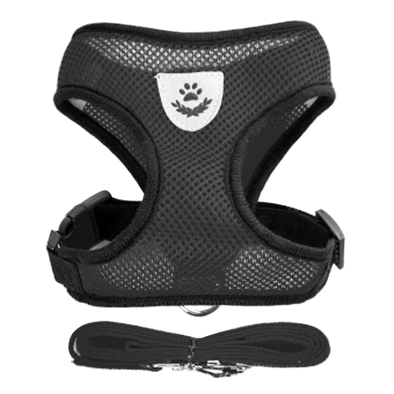 Adjustable Cat and Dog Harness Vest with Leash - Comfortable Mesh Walking Gear for Small to Medium Pets