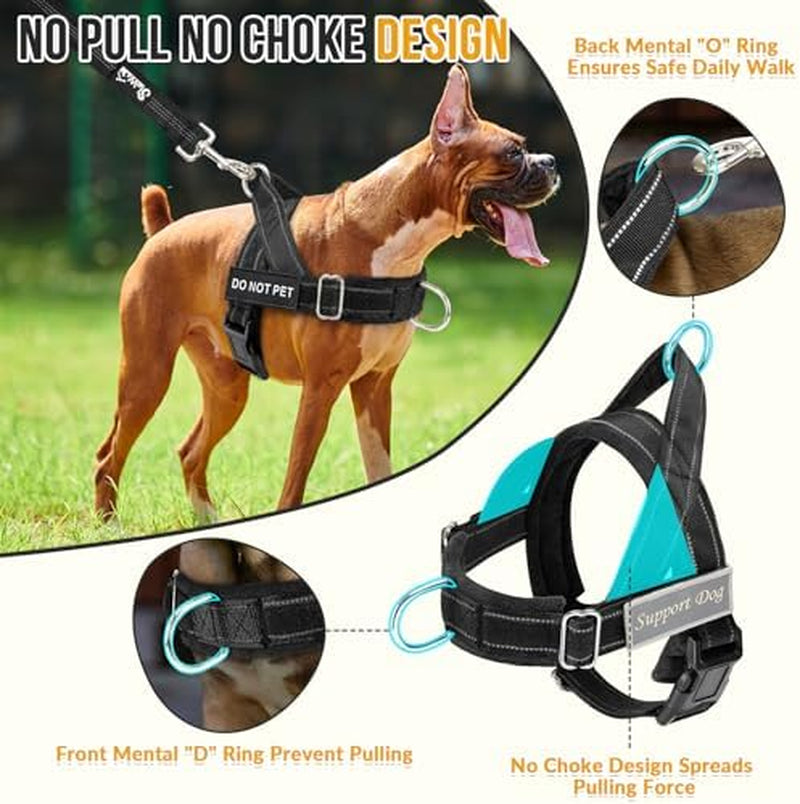 Heavy Duty No Pull Dog Harness & Leash Set - Reflective Tactical Design with Soft Padding & Front Clip for Easy Walking & Training - Perfect for Medium to Large Dogs (Black, Size L)