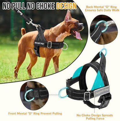 Heavy Duty No Pull Dog Harness & Leash Set - Reflective Tactical Design with Soft Padding & Front Clip for Easy Walking & Training - Perfect for Medium to Large Dogs (Black, Size L)