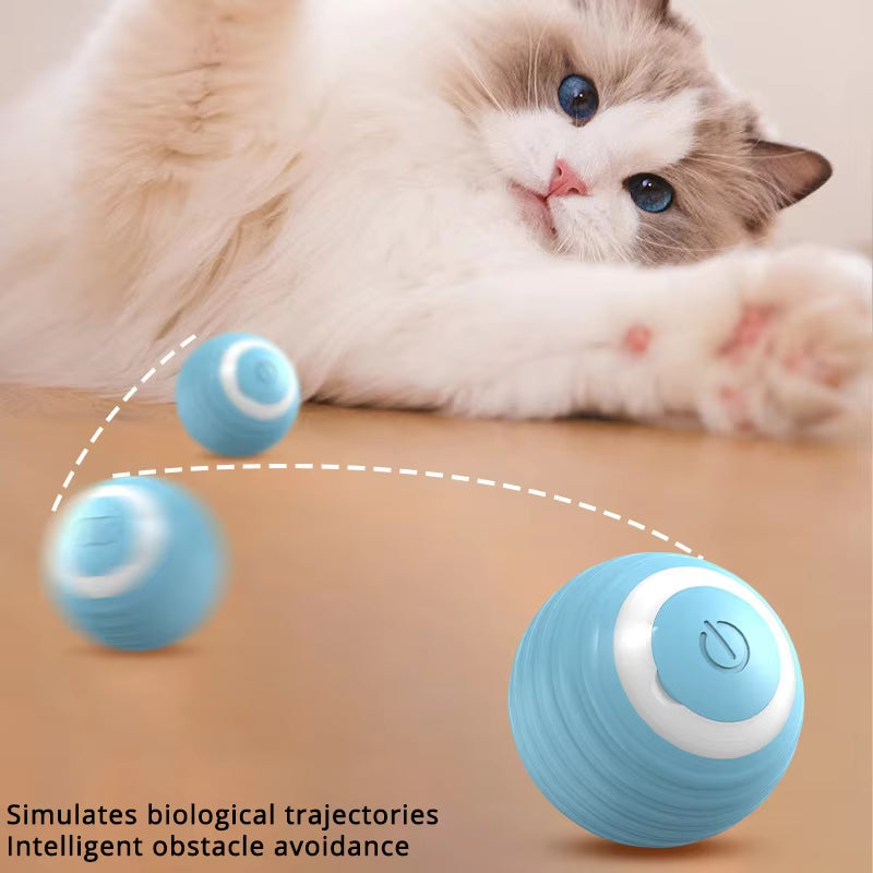 Rechargeable Interactive Cat Toy Ball with Dual Modes for Indoor Play - Automatic Moving Teaser Game for Kittens
