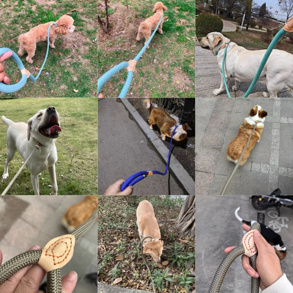 Ultimate Adjustable Braided Slip Lead Leash for Perfect Training & Control