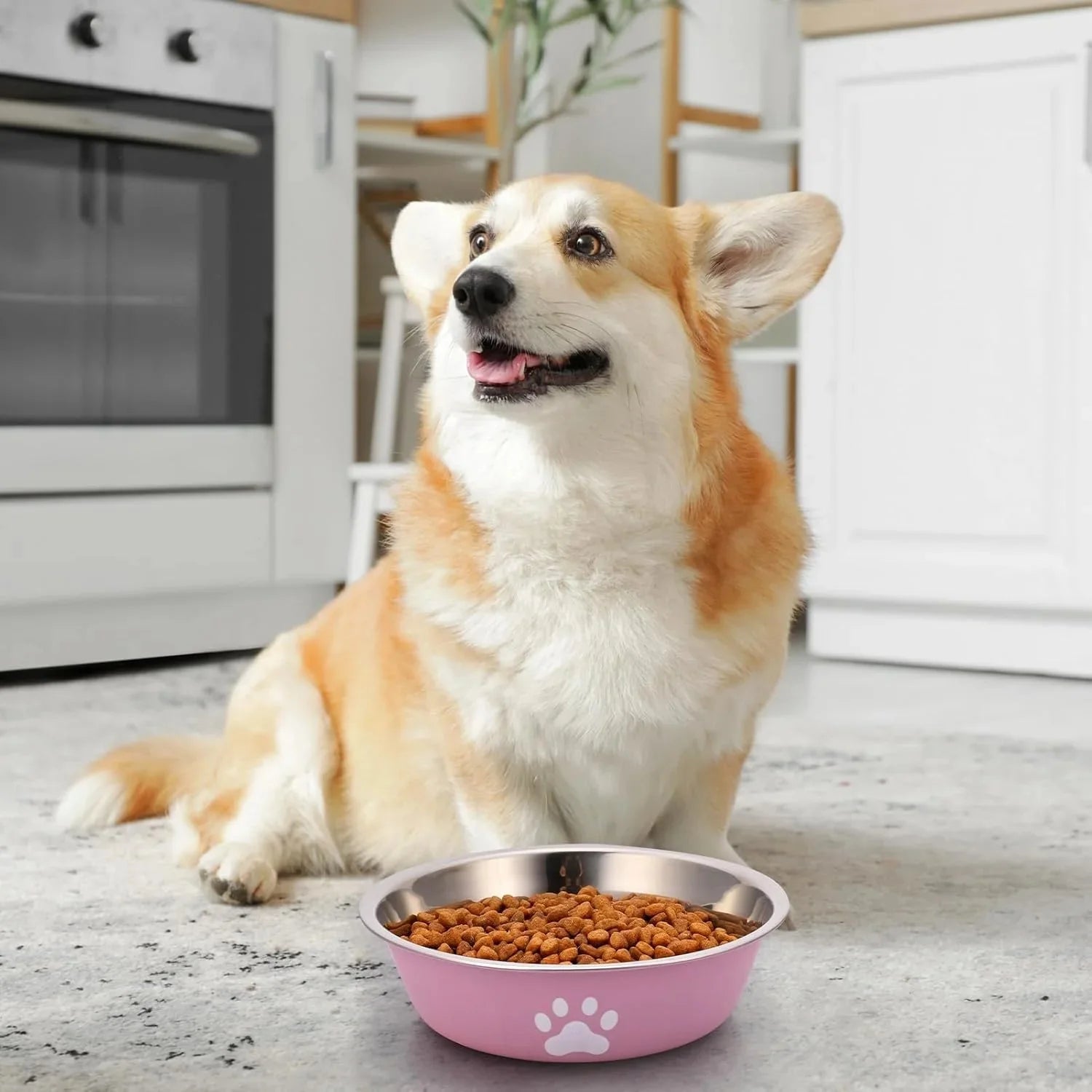 Premium Stainless Steel Dog Bowls with Non-Slip Silicone Base - Ideal Feeding Solution for Dogs and Cats!
