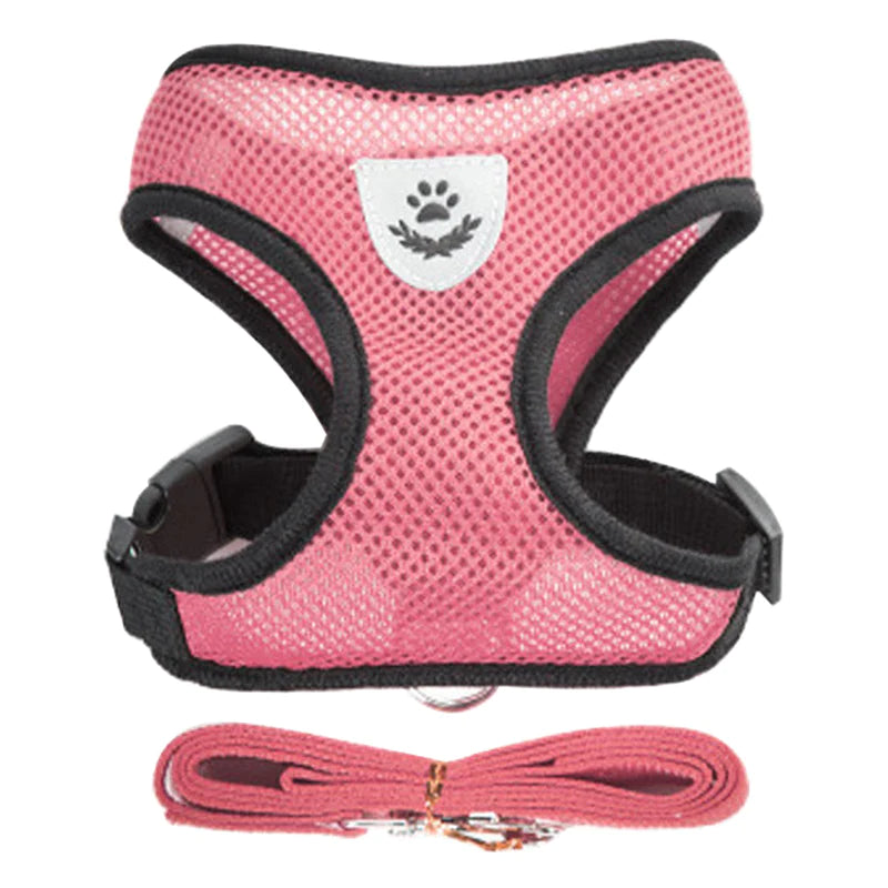 Adjustable Cat and Dog Harness Vest with Leash - Comfortable Mesh Walking Gear for Small to Medium Pets