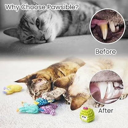 Pawsible Premium 5-Pack Colorful Cactus Cat Toy Set with 100% Natural Herb Filling for Enhanced Stimulation and Soft Teething, Ideal for Kittens