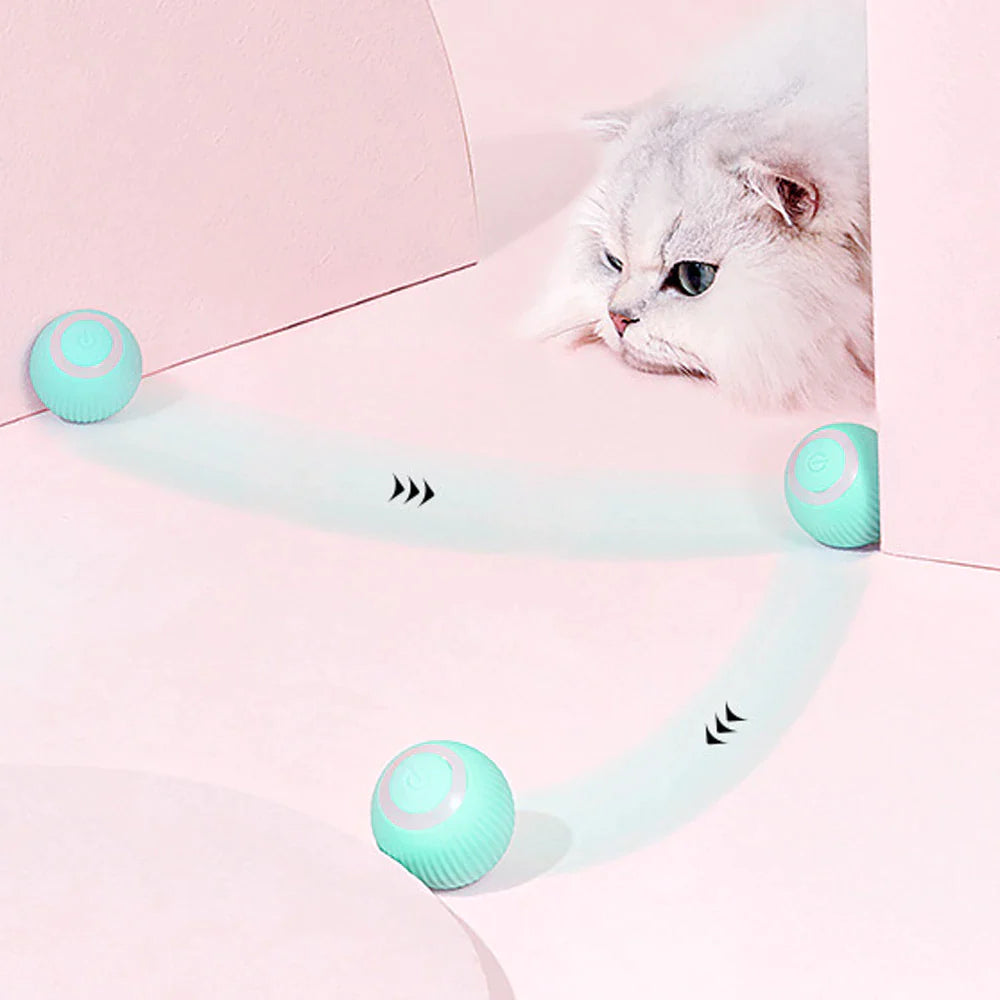 Automatic Interactive Rolling Ball Cat Toy - Self-Moving Electric Toy for Kitten Training and Engagement