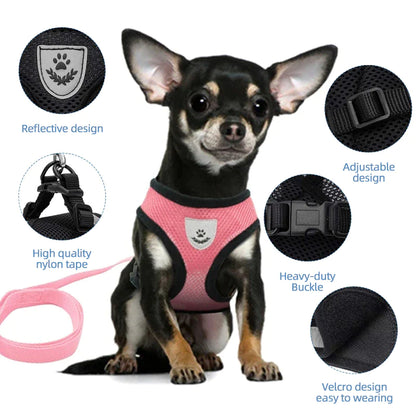 Adjustable Cat and Dog Harness Vest with Leash - Comfortable Mesh Walking Gear for Small to Medium Pets