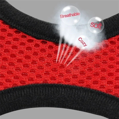 Adjustable Cat and Dog Harness Vest with Leash - Comfortable Mesh Walking Gear for Small to Medium Pets