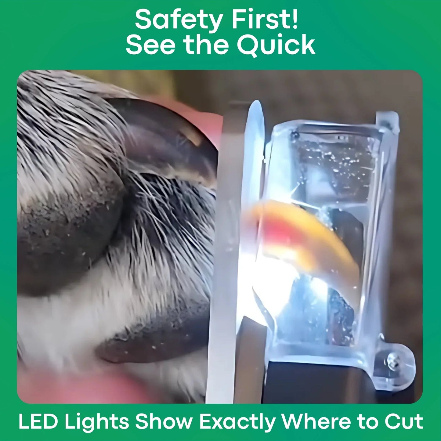 Safetrim LED Pet Nail Clipper - The Ultimate Safe Grooming Tool for Dogs & Cats