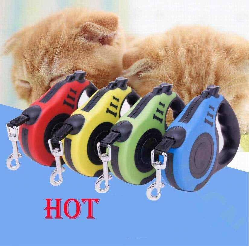 16.5FT Automatic Retractable Dog Leash with Collar for Effortless Walking - Free Shipping in the US