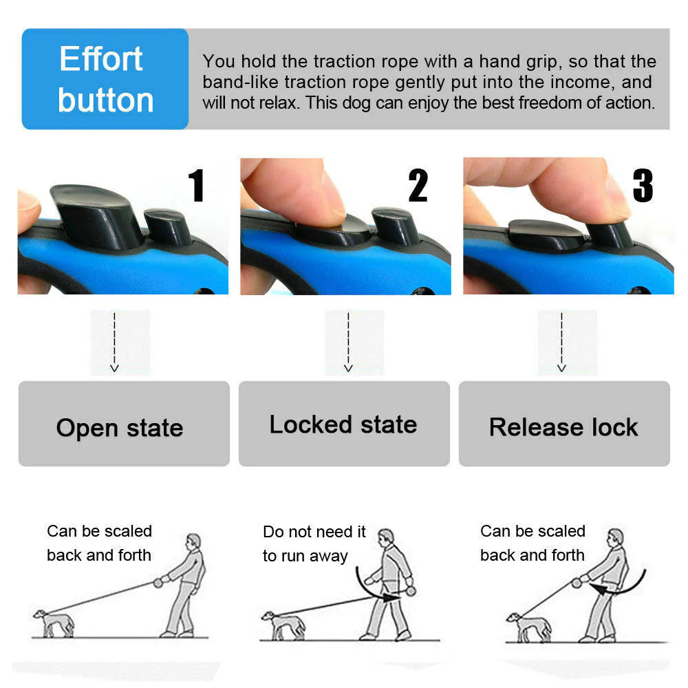 16.5FT Automatic Retractable Dog Leash with Collar for Effortless Walking - Free Shipping in the US