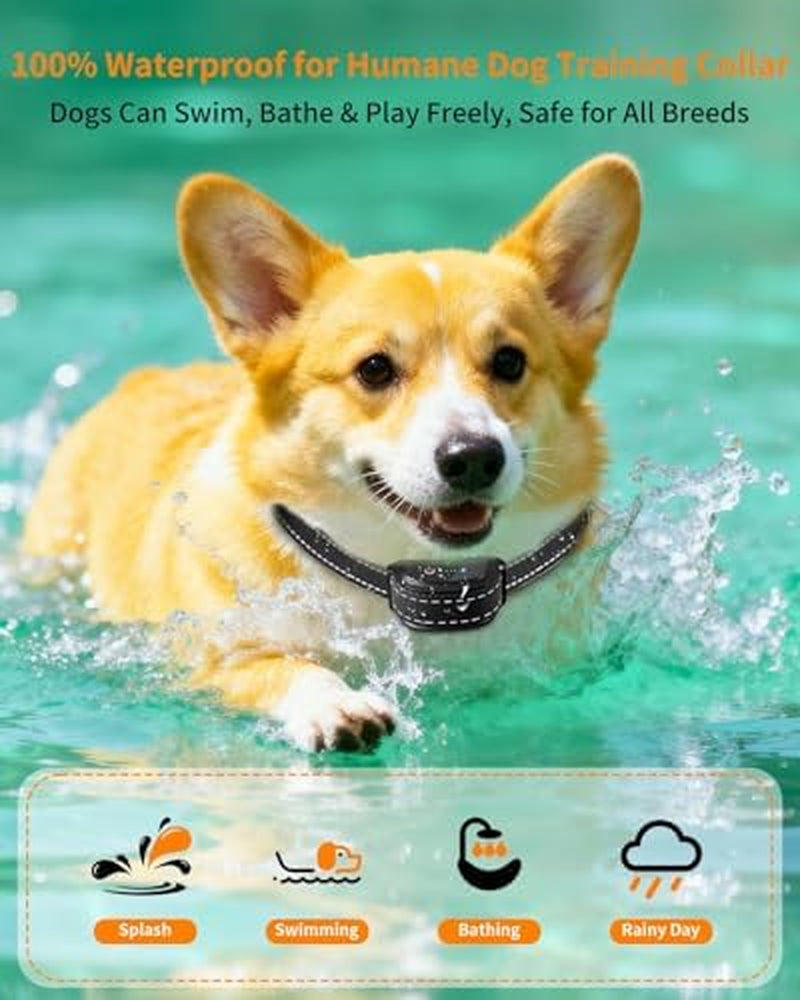 Ultimate Dog Training Collar with Remote – Waterproof Shock Collar for Dogs 10-120 lbs, 2000FT Range, Rechargeable with Beep, Vibration, Shock & Flashlight Modes
