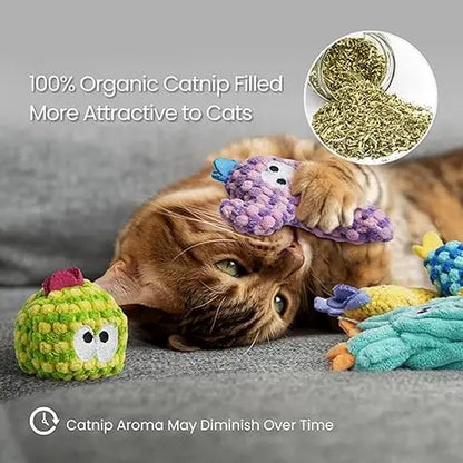 Pawsible Premium 5-Pack Colorful Cactus Cat Toy Set with 100% Natural Herb Filling for Enhanced Stimulation and Soft Teething, Ideal for Kittens