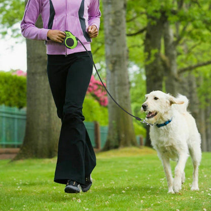 16.5FT Automatic Retractable Dog Leash with Collar for Effortless Walking - Free Shipping in the US