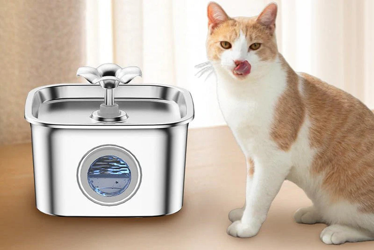 HEYBO Automatic Pet Water Dispenser and Fountain for Multiple Dogs