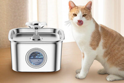 HEYBO Automatic Pet Water Dispenser and Fountain for Multiple Dogs