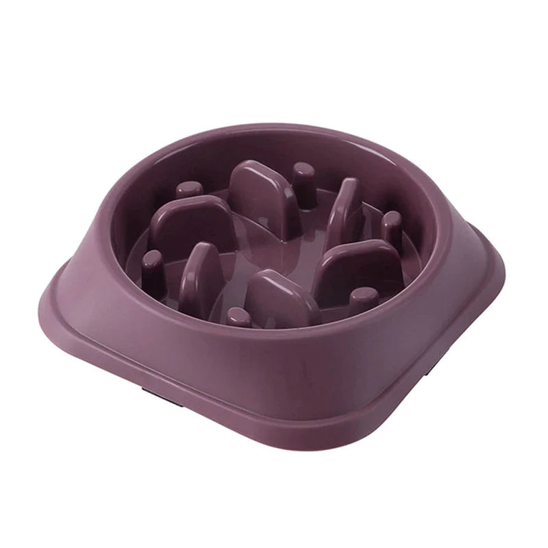 Non-Slip Slow Feeder Bowl for Small Dogs and Cats - Choke-Proof Pet Food Dish