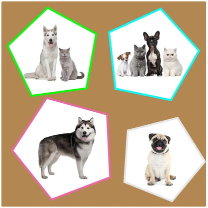 Ultimate Pet Grooming Ear Muffs - Noise Cancelling & Waterproof Covers for Dogs and Cats