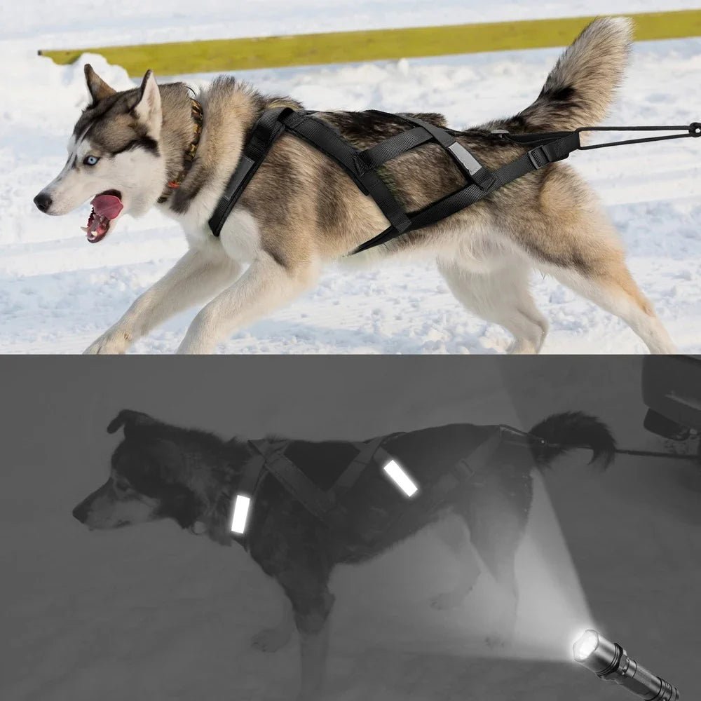 Ultimate Waterproof Reflective Dog Sledding Harness for Large Breeds - Perfect for Skijoring and Weight Pulling (65cm - 85cm)