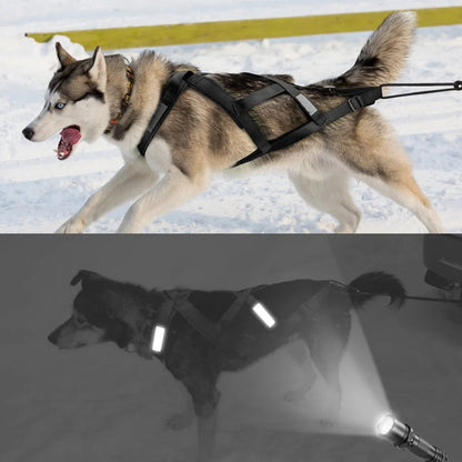 Ultimate Waterproof Reflective Dog Sledding Harness for Large Breeds - Perfect for Skijoring and Weight Pulling (65cm - 85cm)