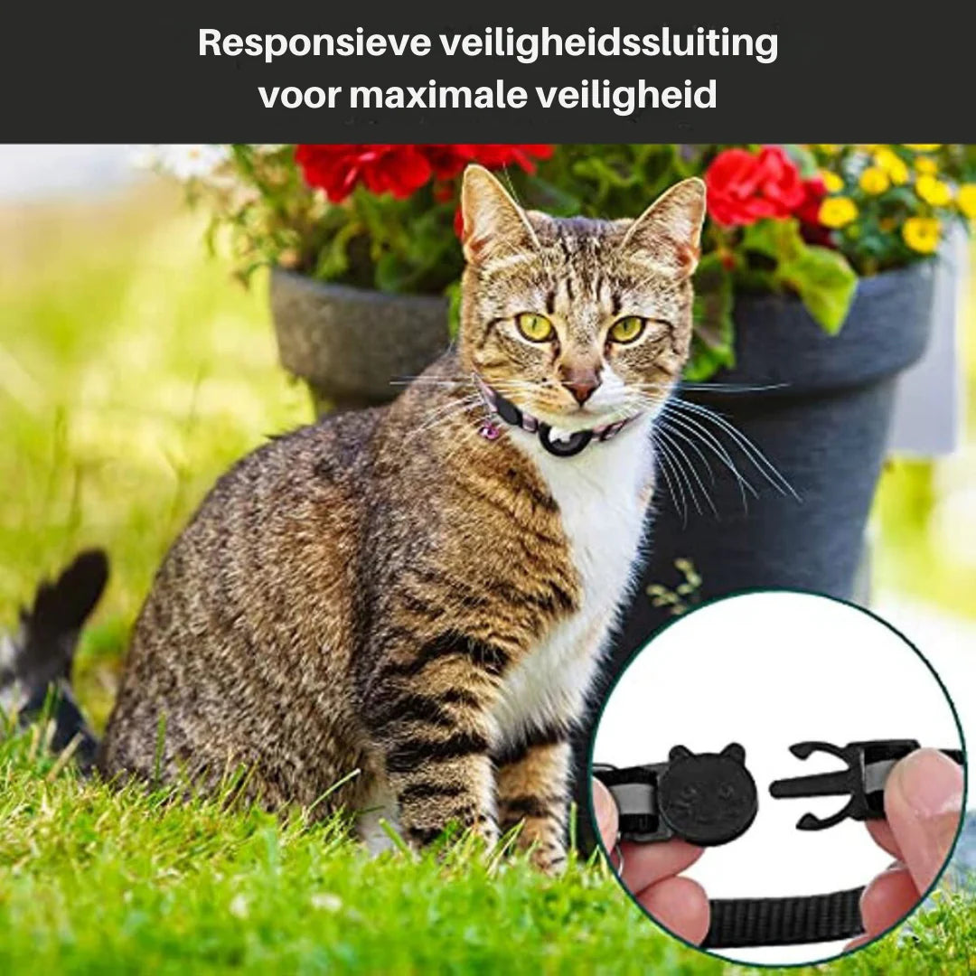 GPS Tracking Collar for Cats with Quick-Release Fastener and Enhanced Nighttime Visibility Reflective Design