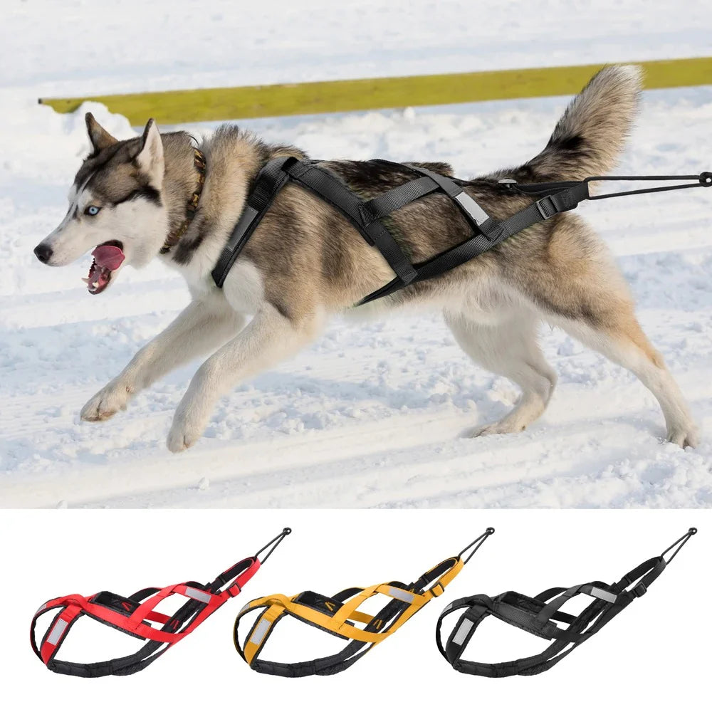 Ultimate Waterproof Reflective Dog Sledding Harness for Large Breeds - Perfect for Skijoring and Weight Pulling (65cm - 85cm)